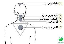 حجامت_گردن