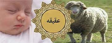 احکام و آداب عقیقه