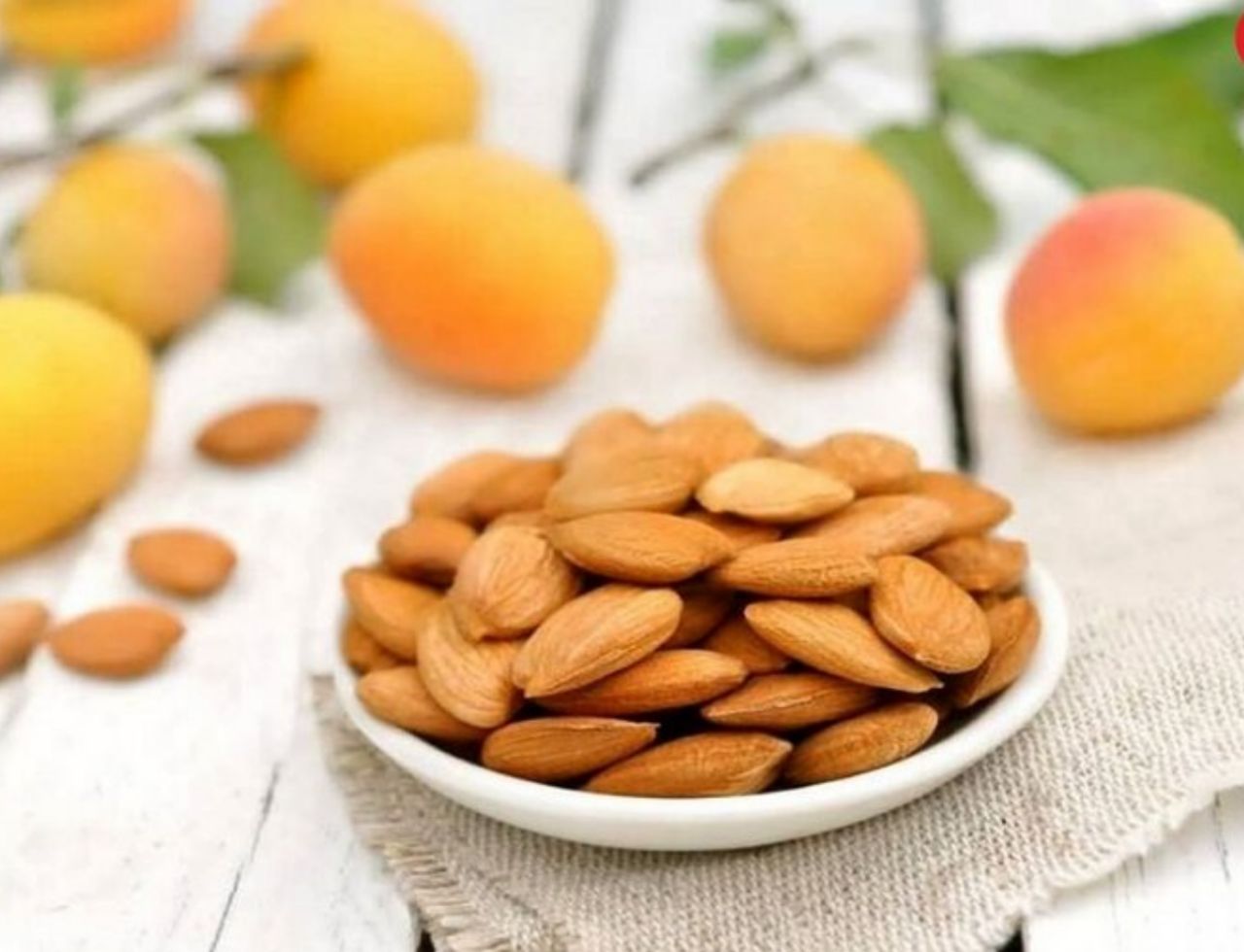 مغز زردآلو