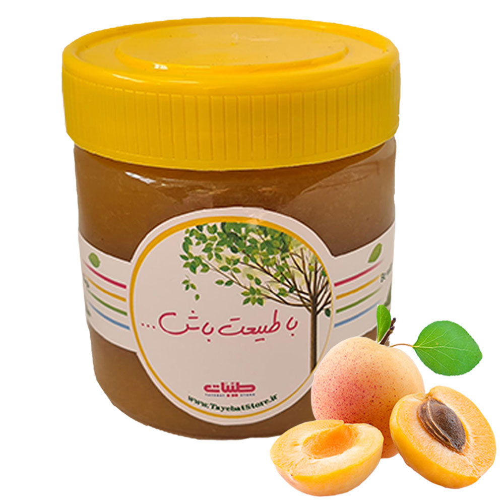 رب و ترشک زردآلو