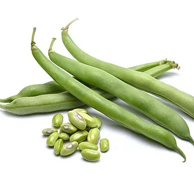 بذر لوبیا سبز